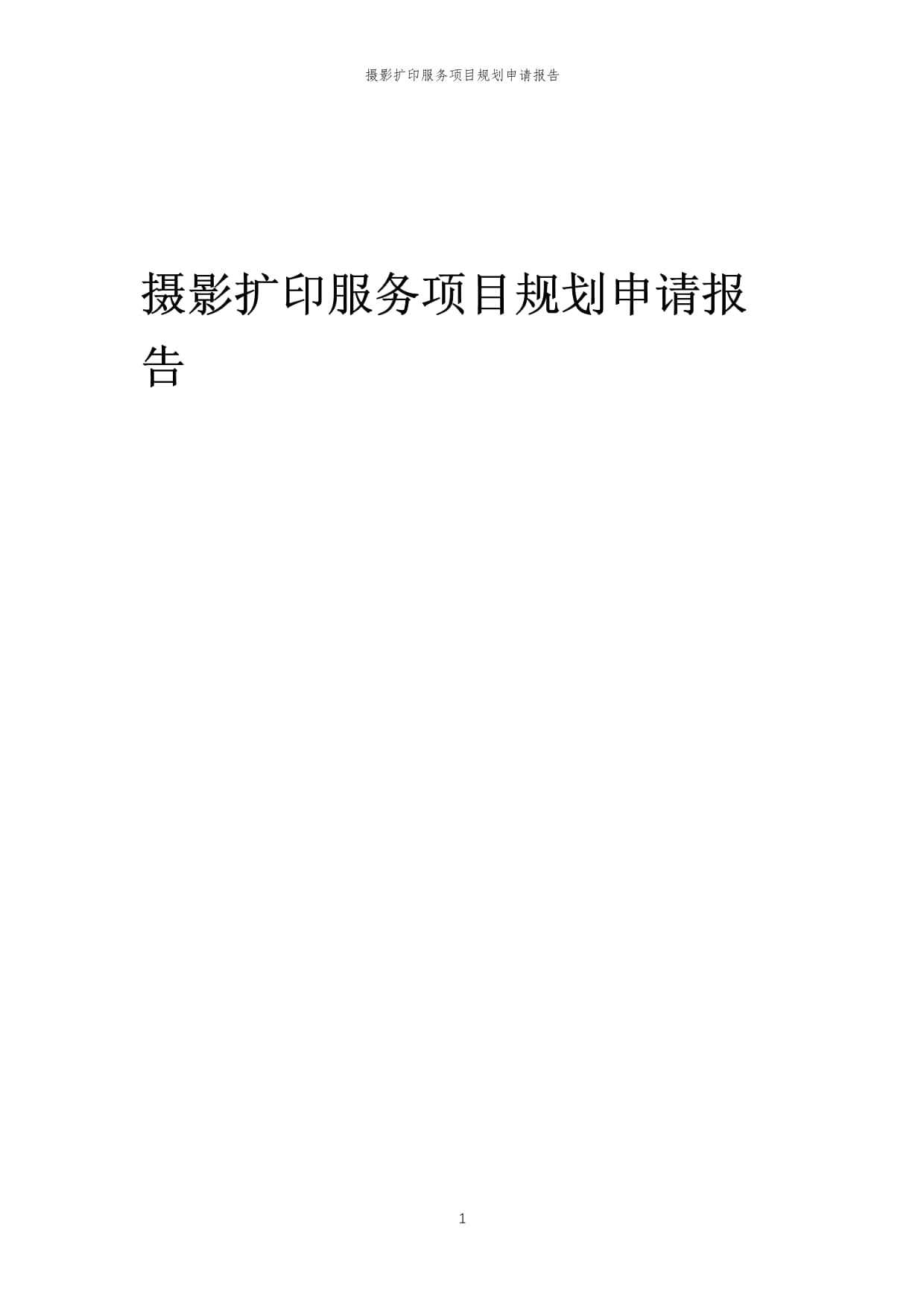 2024年摄影扩印服务项目规划申请报告